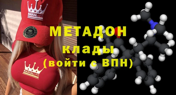 шишки Жердевка