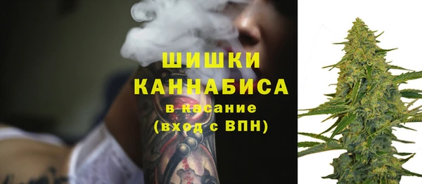 Альфа ПВП Дубна