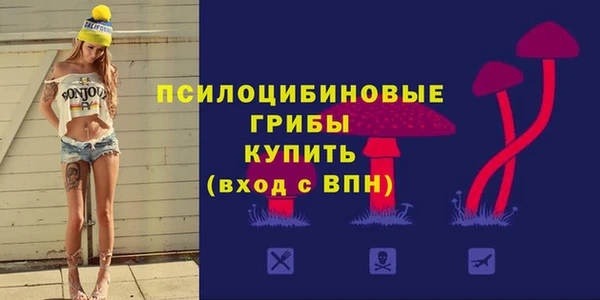 а пвп мука Вяземский